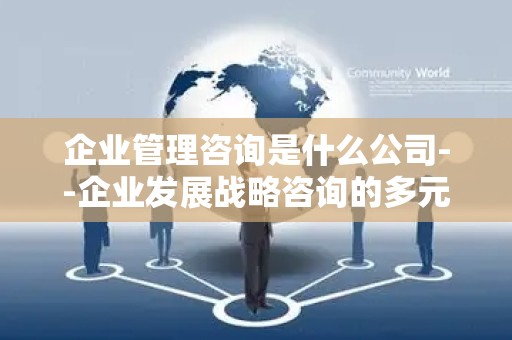 企业管理咨询是什么公司--企业发展战略咨询的多元路径