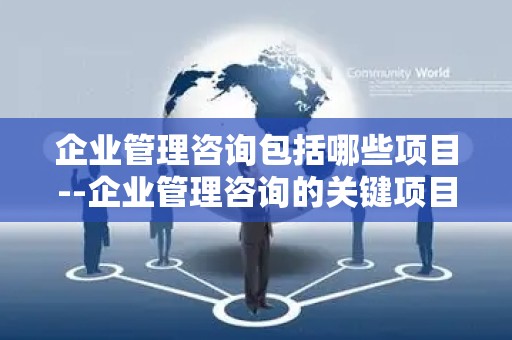 企业管理咨询包括哪些项目--企业管理咨询的关键项目与实践
