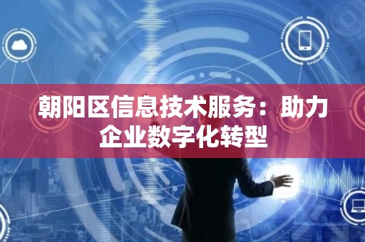 朝阳区信息技术服务：助力企业数字化转型