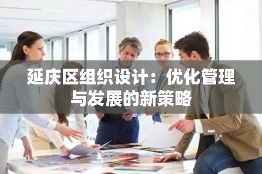延庆区组织设计：优化管理与发展的新策略