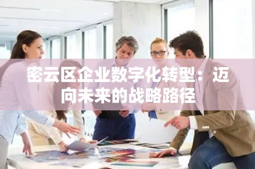 密云区企业数字化转型：迈向未来的战略路径