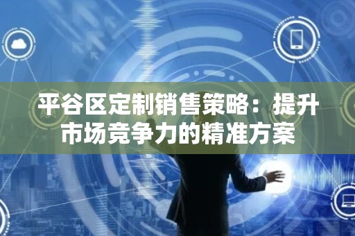 平谷区定制销售策略：提升市场竞争力的精准方案
