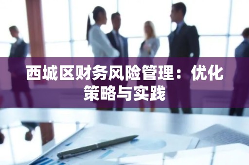 西城区财务风险管理：优化策略与实践