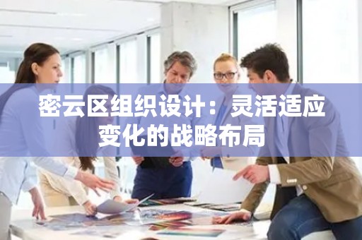 密云区组织设计：灵活适应变化的战略布局