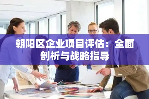 朝阳区企业项目评估：全面剖析与战略指导