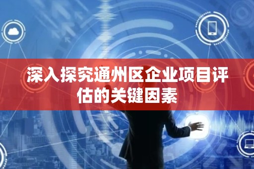 深入探究通州区企业项目评估的关键因素