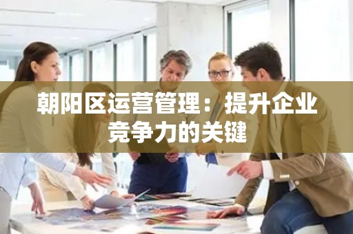 朝阳区运营管理：提升企业竞争力的关键