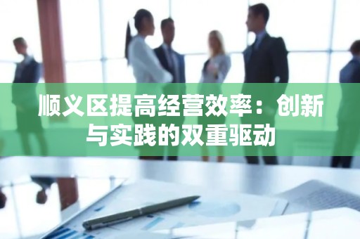 顺义区提高经营效率：创新与实践的双重驱动