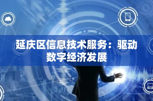 延庆区信息技术服务：驱动数字经济发展