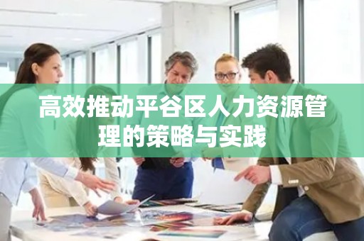 高效推动平谷区人力资源管理的策略与实践