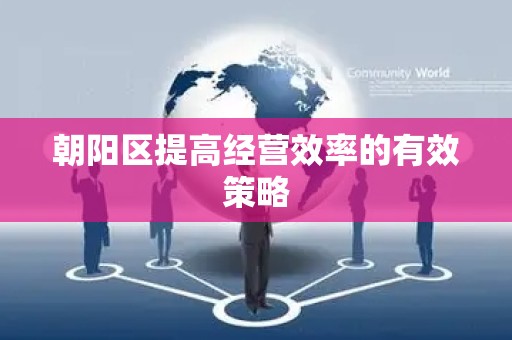 朝阳区提高经营效率的有效策略