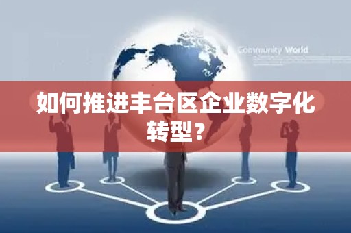 如何推进丰台区企业数字化转型？