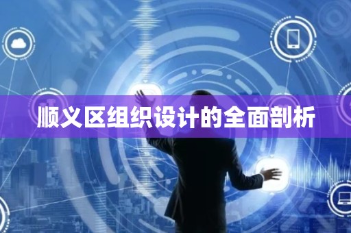 顺义区组织设计的全面剖析