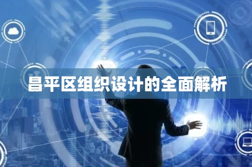 昌平区组织设计的全面解析