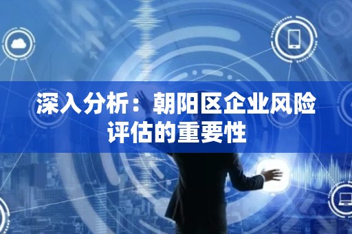 深入分析：朝阳区企业风险评估的重要性