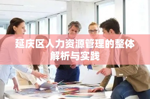 延庆区人力资源管理的整体解析与实践