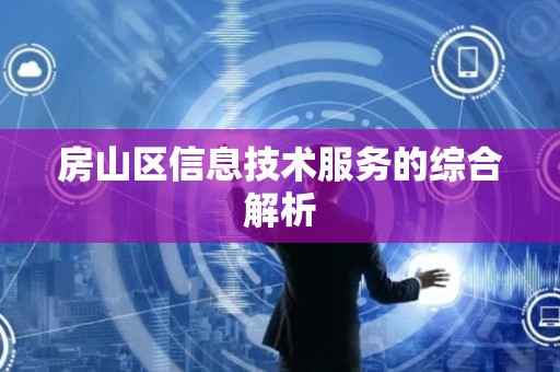 房山区信息技术服务的综合解析