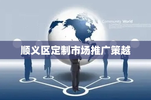 顺义区定制市场推广策越